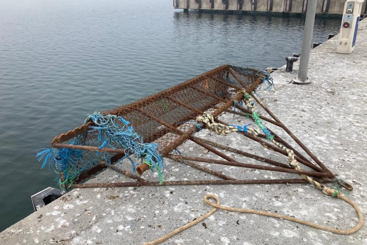 İstanbul Boğazı’nda yasa dışı midye avcıları suçüstü yakalandı