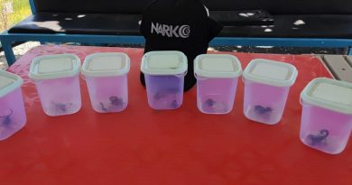 İzinsiz akrep toplayan şahıslara yüklü miktarda ceza