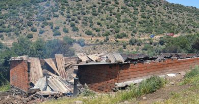 İzmir’de ağılda çıkan yangında 78 küçükbaş hayvan telef oldu
