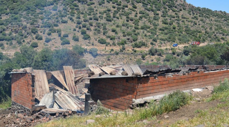 İzmir’de ağılda çıkan yangında 78 küçükbaş hayvan telef oldu