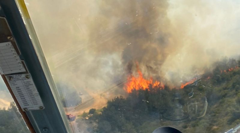 İzmir'de iki ilçede orman yangını