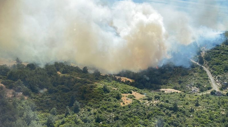 İzmir’in iki ilçesindeki orman yangınlarında 12 hektarlık alan zarar gördü