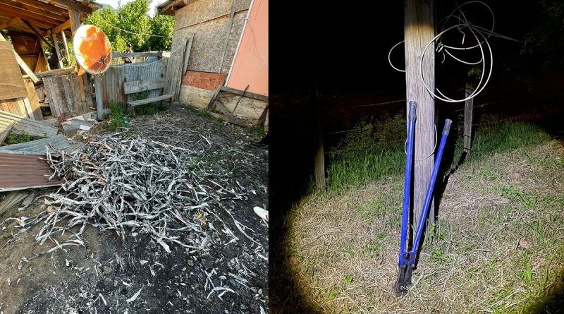 Kablo hırsızları önce fotokapana sonra jandarmaya yakalandı