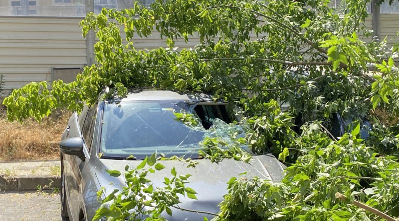 Kadıköy’de ağaç 2 otomobilin üzerine devrildi, bir kişi yaralandı