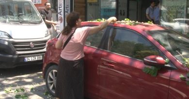 Kadıköy’de ilginç anlar: Otomobilin üzerine devrilen ağaçtan dut topladılar