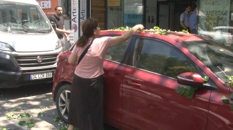 Kadıköy’de ilginç anlar: Otomobilin üzerine devrilen ağaçtan dut topladılar