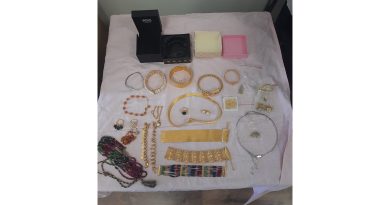 Kahramanmaraş’ta telefon dolandırıcılığına 1 tutuklama