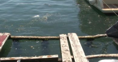 Kanlıca Sahilinde suyun rengi değişti: 'Kanalizasyon borusu patladı' iddiası