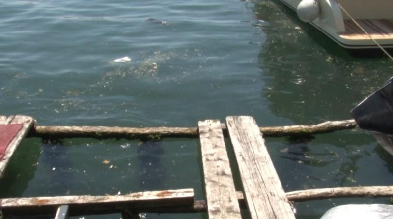 Kanlıca Sahilinde suyun rengi değişti: 'Kanalizasyon borusu patladı' iddiası