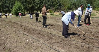 Kapıdaki gıda krizi için çözüm üretimden geçiyor