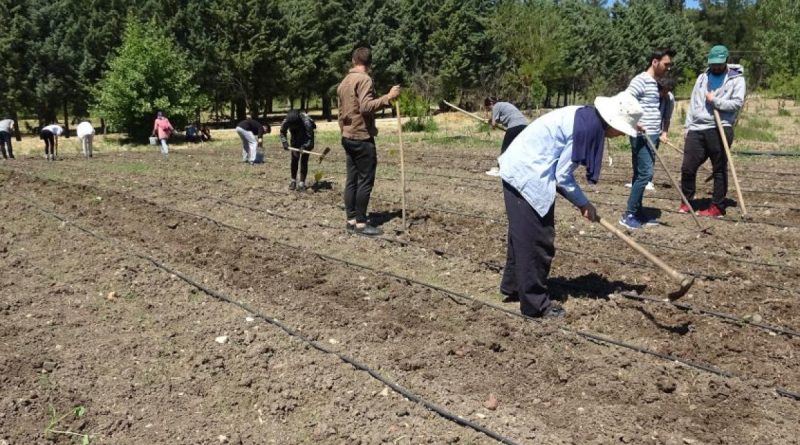 Kapıdaki gıda krizi için çözüm üretimden geçiyor