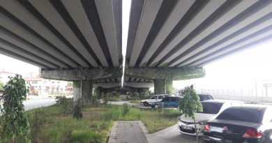 Kastamonu’da fındık büyüklüğündeki dolu yağışı korkuttu