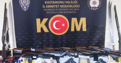 Kastamonu'da 'kaçak silah' operasyonu: 20 gözaltı