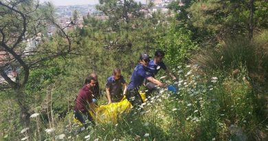 Kocaeli'de ormanlık alanda çocuk cesedi bulundu