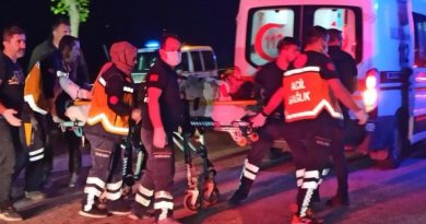 Kontrolden çıkan otomobil ağaç ve direği devirerek durabildi: 1'i ağır 5 yaralı