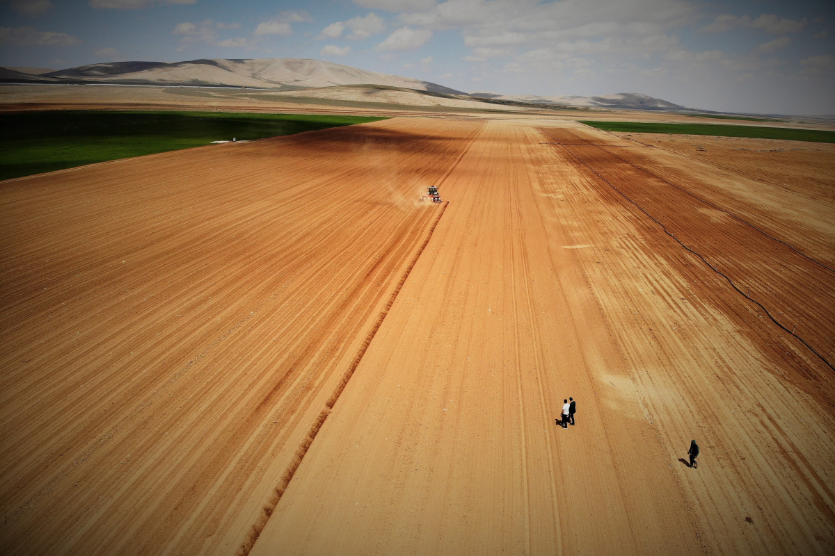 Konya Ovasında ayçiçeği ve pancarda yüksek rekolte umudu