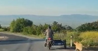 Köpeği motosikletin arkasına bağlayıp sürükledi !