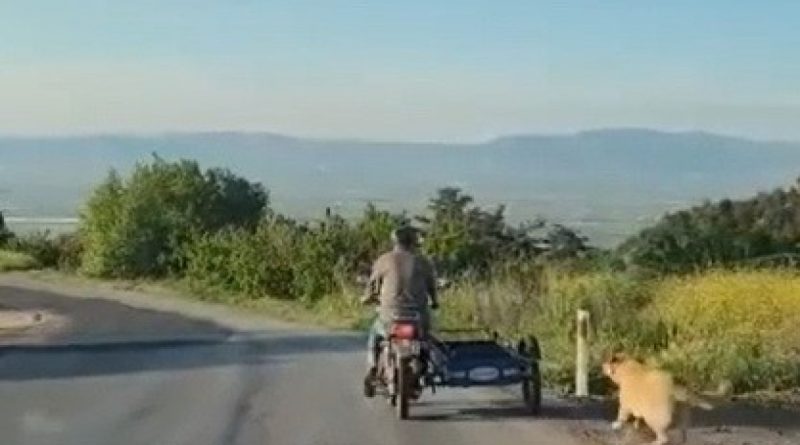 Köpeği motosikletin arkasına bağlayıp sürükledi !