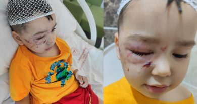 Köpek güzellik yarışmasında dehşet