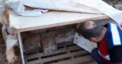 Köpek kulübesinden bile uyuşturucu çıktı