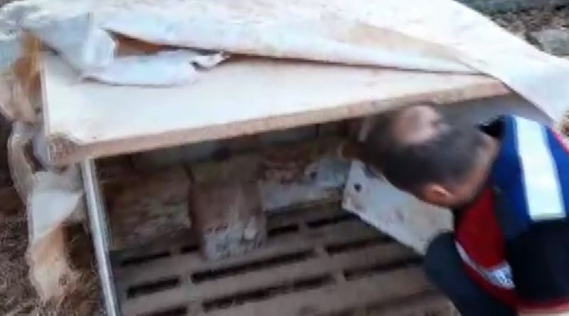 Köpek kulübesinden bile uyuşturucu çıktı