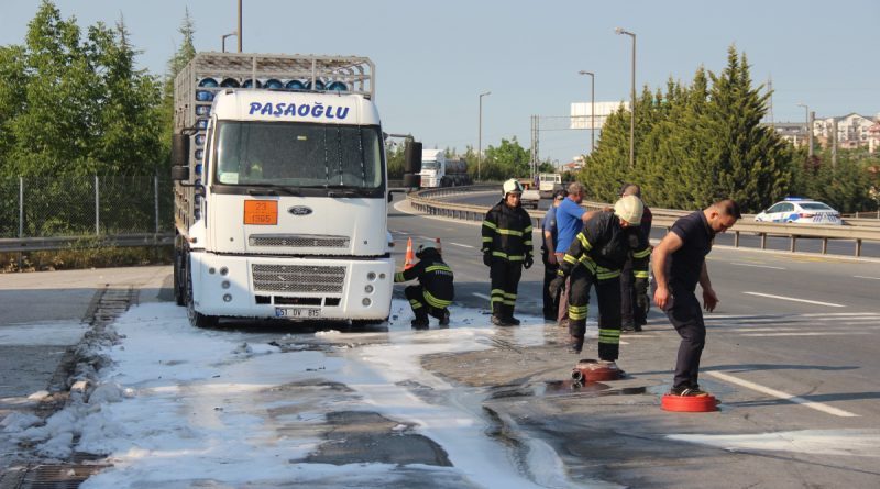 LPG yüklü kamyonun balatasında yangın çıktı, facia son anda önlendi