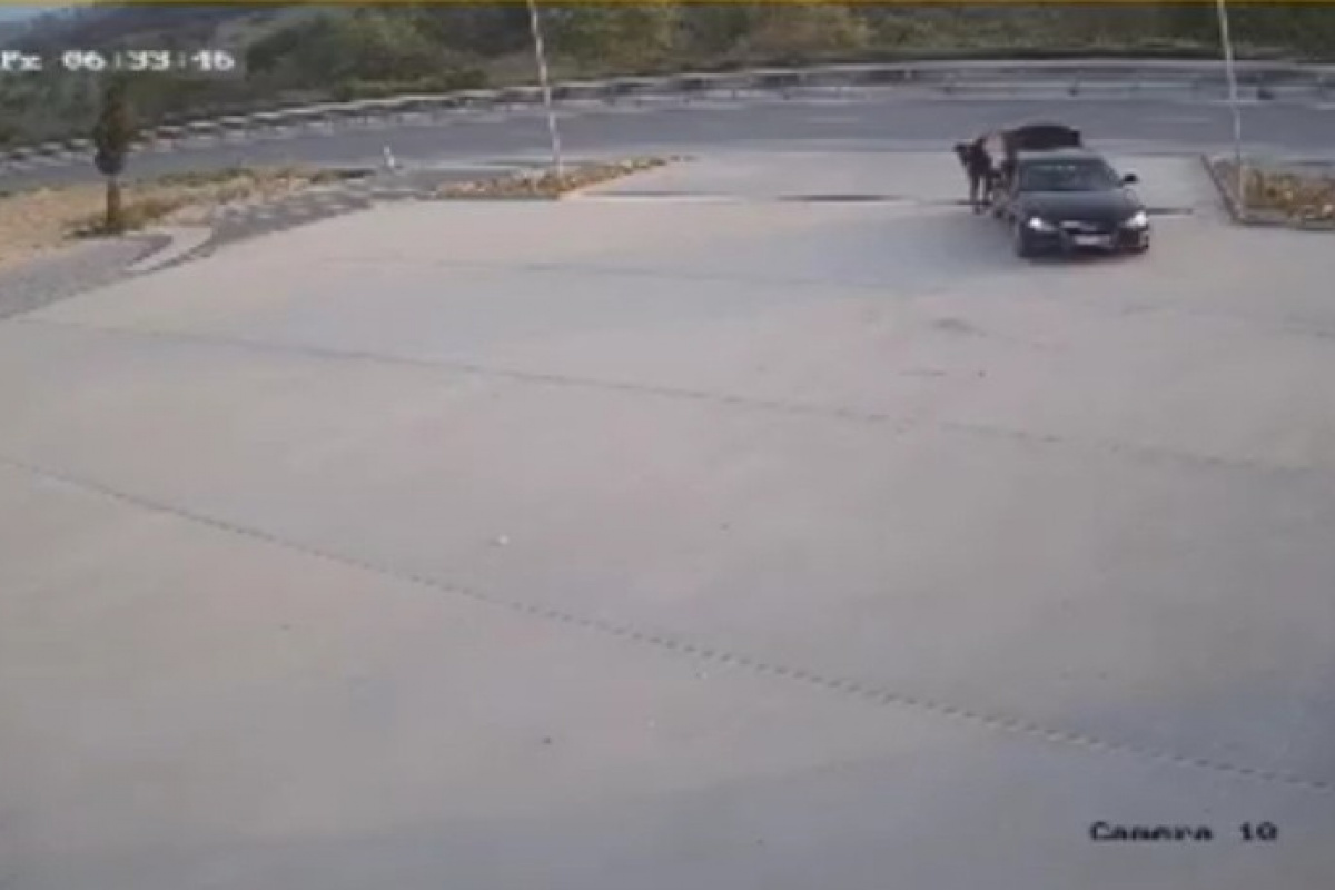 Lüks otomobille mazgalları çaldılar