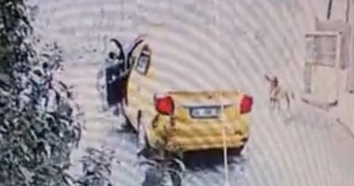 Maltepe’de sokak köpeğini ezen taksici, arkasına bakmadan kaçtı