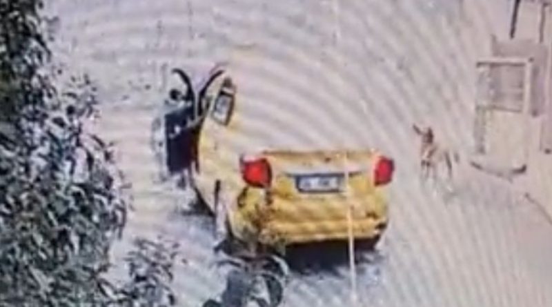 Maltepe’de sokak köpeğini ezen taksici, arkasına bakmadan kaçtı