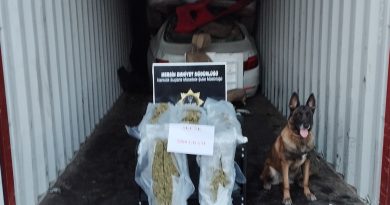 Mersin Limanı'nda 5 kilo 800 gram skunk ele geçirildi