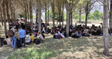 Muğla'da 237 göçmenin yakalandığı operasyonda 3 tutuklama