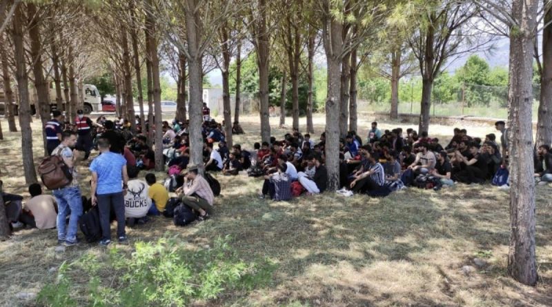Muğla'da 237 göçmenin yakalandığı operasyonda 3 tutuklama