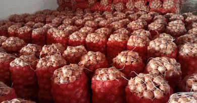 Nisan ayında en çok kuru soğan pahalandı