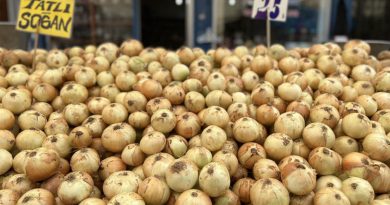 Nisan ayında fiyatı en çok artan kuru soğan 8,5 TL’den satılıyor