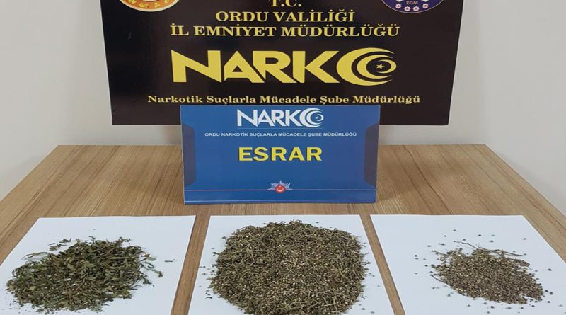 Ordu'da uyuşturucu operasyonunda 12 şüpheli gözaltına alındı