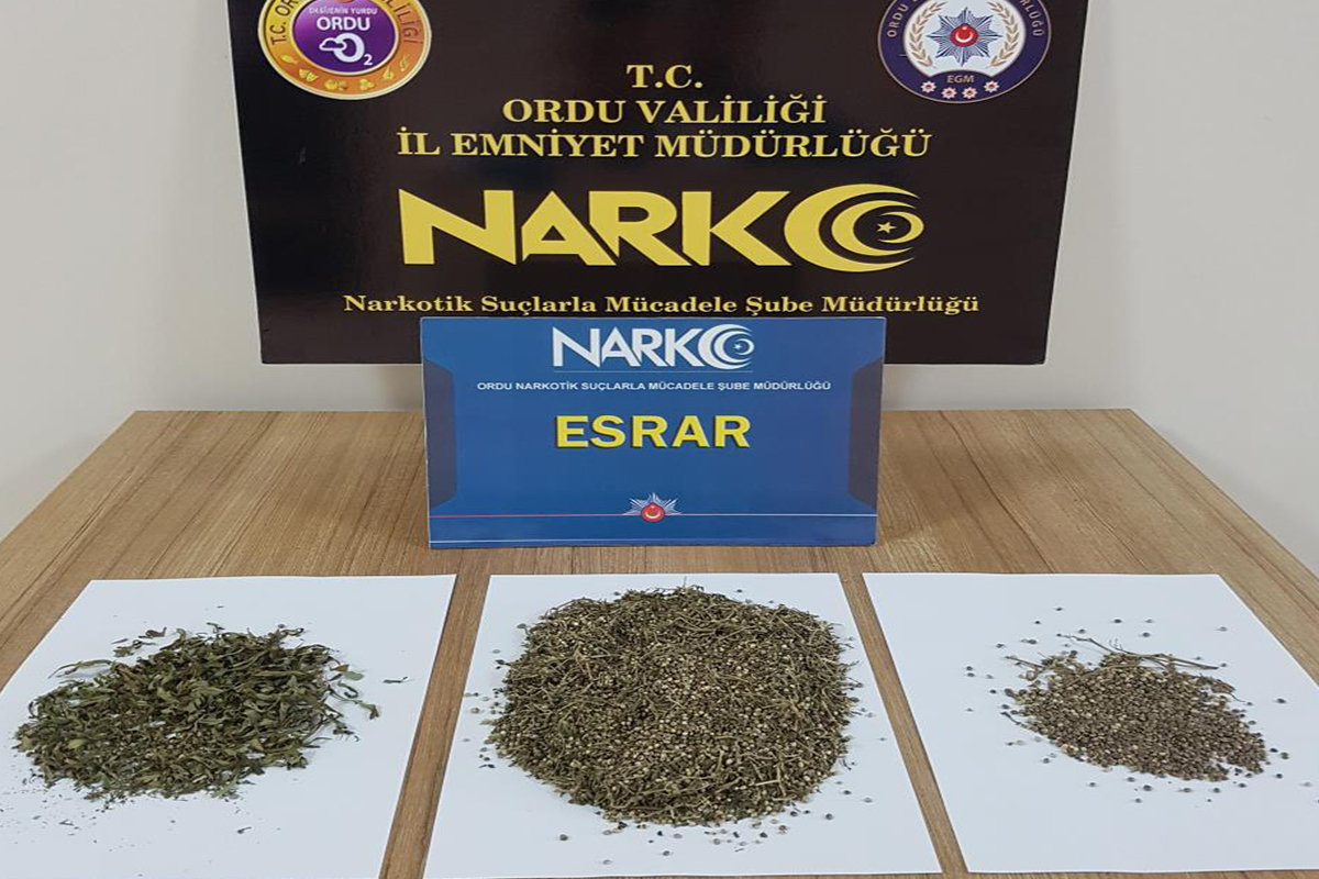 Ordu'da uyuşturucu operasyonunda 12 şüpheli gözaltına alındı