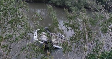 Otomobil nehre uçtu: 3 yaralı