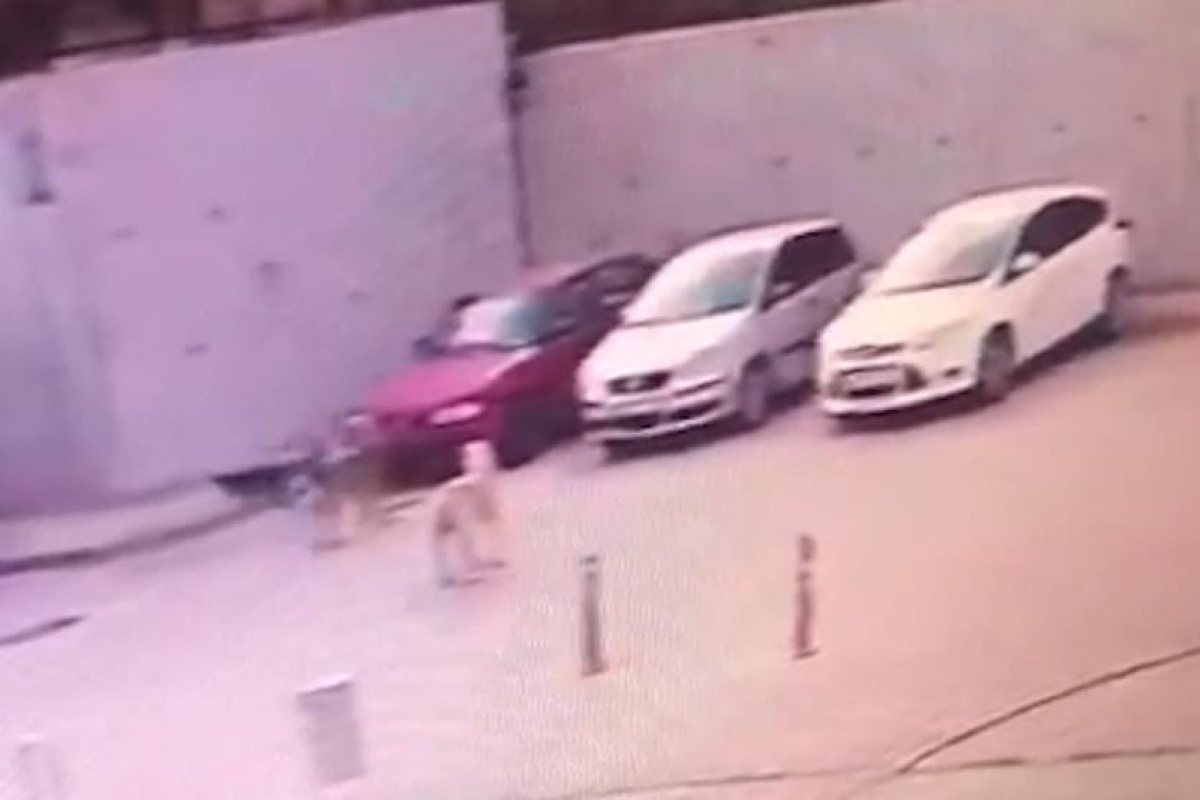 Otomobilini o halde görünce güvenlik kamerasını inceledi, karşılaştığı manzarayla şoke oldu