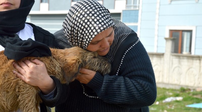 Sakarya'da köpeği ile sahibinin öldürülmekle tehdit edildiği iddiası