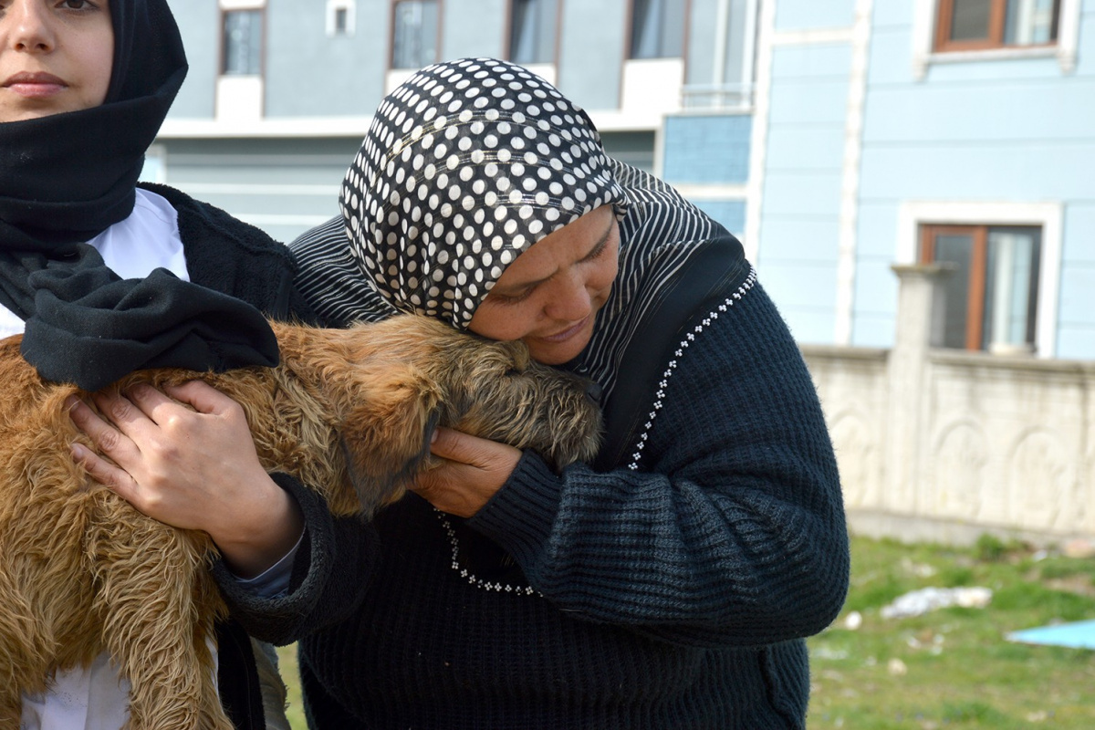 Sakarya'da köpeği ile sahibinin öldürülmekle tehdit edildiği iddiası
