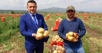 Soğan, fiyatıyla çiftçinin yüzünü güldürüyor