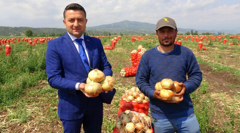 Soğan, fiyatıyla çiftçinin yüzünü güldürüyor