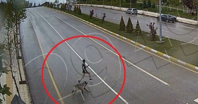 Sokak köpeğinden kaçarken düşen çocuk ağır yaralanmıştı, o anlar kamerada