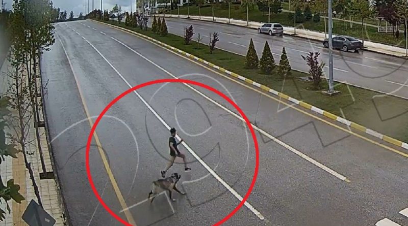 Sokak köpeğinden kaçarken düşen çocuk ağır yaralanmıştı, o anlar kamerada