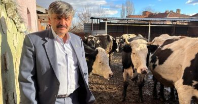 Süte gelen zamdan sonra yem fiyatları da yükseldi