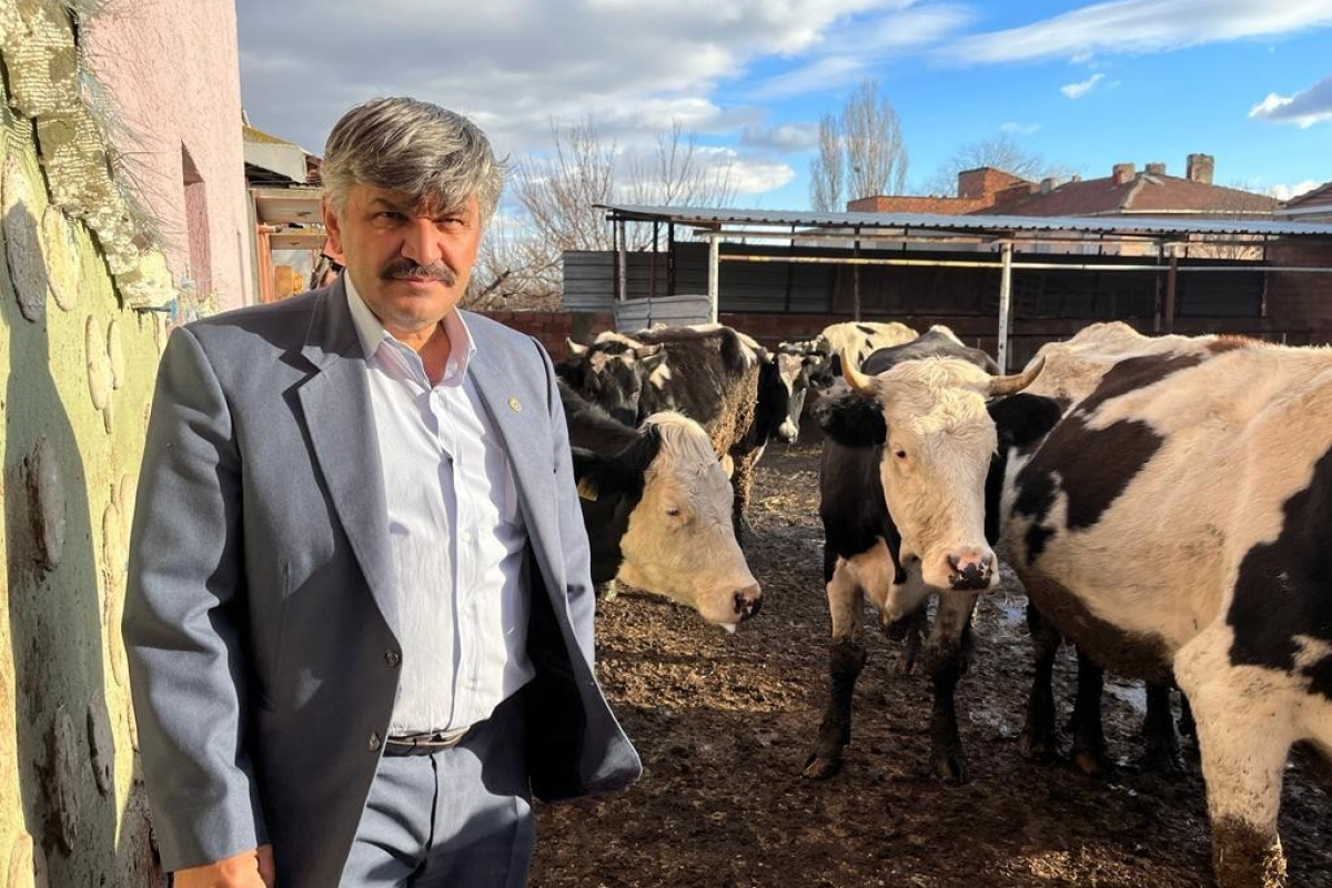 Süte gelen zamdan sonra yem fiyatları da yükseldi