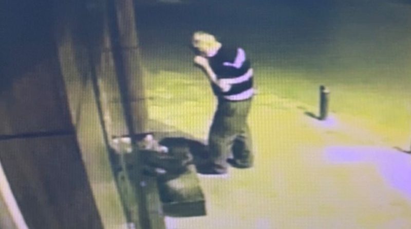 Tadına baktığı çileği beğenince kasasıyla birlikte çaldı: O anlar kamerada