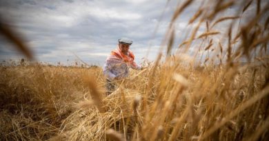 Tarım-GFE yıllık yüzde 105,70 arttı