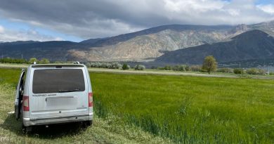 Tarlaya kaçan araç içerisinden 5 kaçak göçmen yakalandı