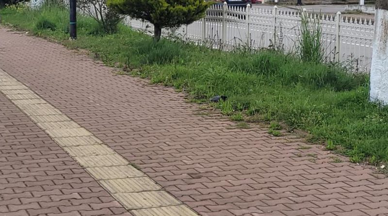 Tartıştığı şahsı pompalı tüfekle yaraladı